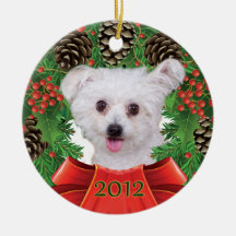 Cindy Holiday Ornament