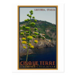 Cinque Terre - Century Plant Post Card