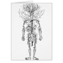 Circulatory System antique Tarjetón