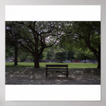 City Park Print