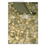Clams Greeting Card