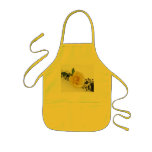 Clarinet with Yellow Rose Apron