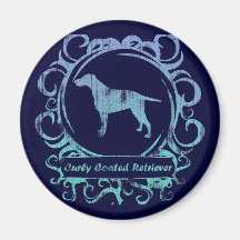 Classy Weathered Curly Coated Retriever Magnets