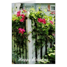 Clematis on Fence - Birthday Women Cards
