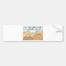 clerked for wise guru buddhism bumper stickers