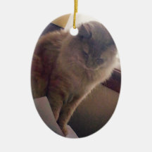 Clever Cat Ornament