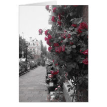 Climbing Roses on Trellis With Motorcycle Cards