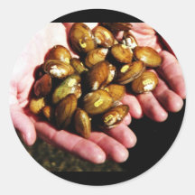 Clinch River Mussels in Hand Round Stickers