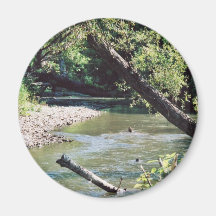 Clinch River Scenic Fridge Magnets