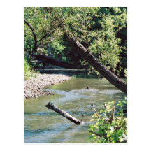 Clinch River Scenic Post Card