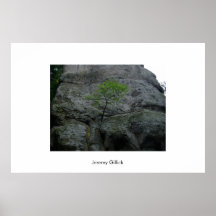 Clinging for Life Poster