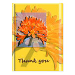 Clivea Thank You Postcard