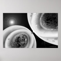 Close up look at cell division print