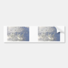 Close-up on green grass stems very iced bumper stickers