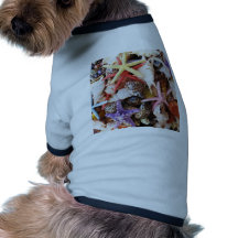 Close Up Sea Shell ans Starfish Photos Dog Tee