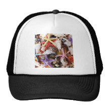 Close Up Sea Shell ans Starfish Photos Hat