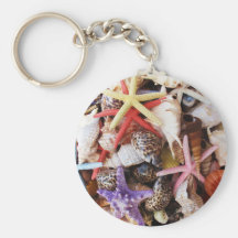 Close Up Sea Shell ans Starfish Photos Key Chain
