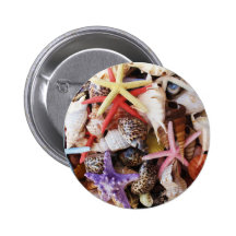Close Up Sea Shell ans Starfish Photos Pin