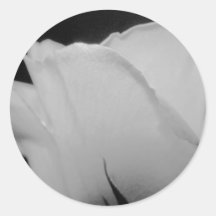 Closer White Rose Stickers
