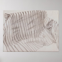 Cloth Print