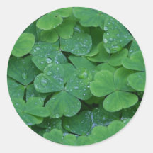 Clover Field photographed Round Stickers
