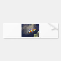 clown fish, 2 bumper stickers