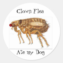 Clown Flea stickers
