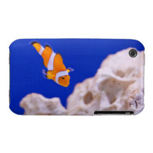 Clownfish iPhone 3 Cover