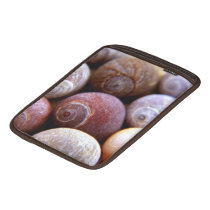 Cluster of shells ipad sleeves