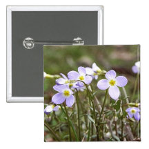 Cluster Of Tiny Bluets Pins
