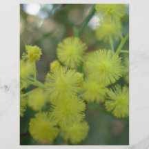 Cluster of Yellow Wattle Flower Custom Flyer