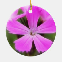 Clusterhead Pink - Dianthus carthusianorum Christmas Ornaments
