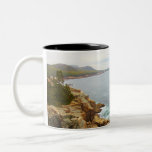 Coastal View of Acadia National Park Mug