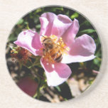 Coaster - Bee on a wild rose coasters
