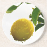 Coaster - Wet lemon coasters