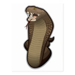 Cobra snake ready to strike post card