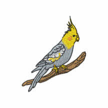 Cockatiel
