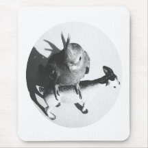 Cockatiel on goat bw circle mouse pads