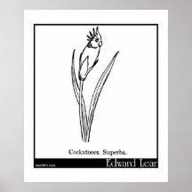 Cockatooca Superba. Print