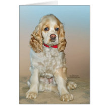 Cocker Spaniel Greeting Card
