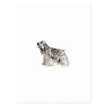 Cocker Spaniel Postcards