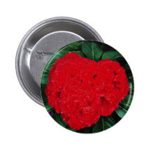 Cockscomb, East Indies flowers Buttons