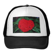 Cockscomb, East Indies flowers Mesh Hats