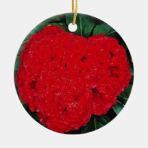 Cockscomb, East Indies flowers Christmas Tree Ornament