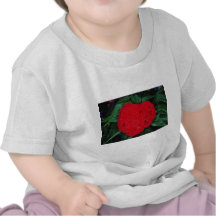 Cockscomb, East Indies flowers Shirt