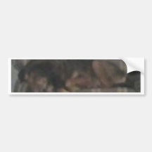 Cocoa Bumper Sticker