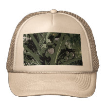 Coconut Palms Digital Design Mesh Hat