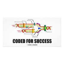 Coded For Success (DNA Replication) Picture Card