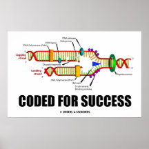Coded For Success (DNA Replication) Poster