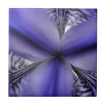 Coeur d'iris tiles